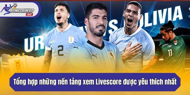 Tổng hợp những nền tảng xem Livescore được yêu thích nhất